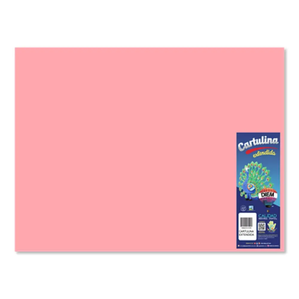 CARTULINA DIEM BRIGHTS 50X66 PTE. C/10 03A ROSA