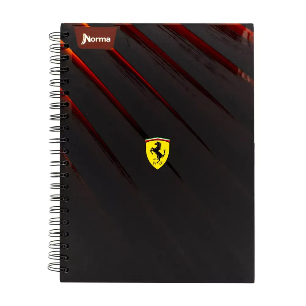 CUADERNO PROF. FERRARI 100 H. 7 MM