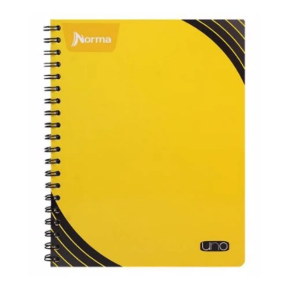 CUADERNO PROF. NORMA 529991 UNO 100 H. C5