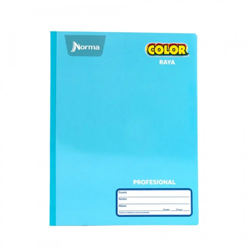 CUAD. COSIDO NORMA PROF. COLOR 581280 100 H RAYA