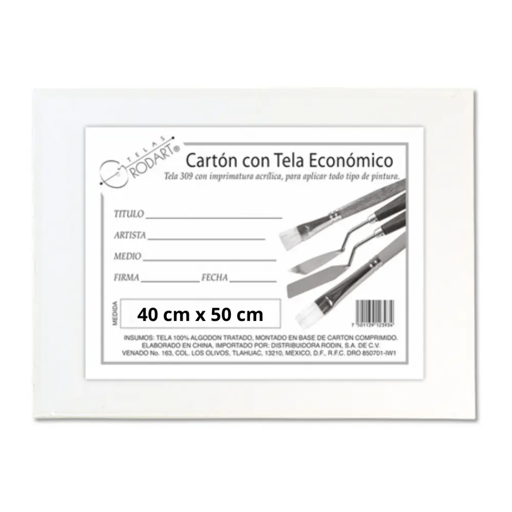CARTON C/ TELA ECONOMICO RECTANGULAR RODIN 40 X 50cm 301704