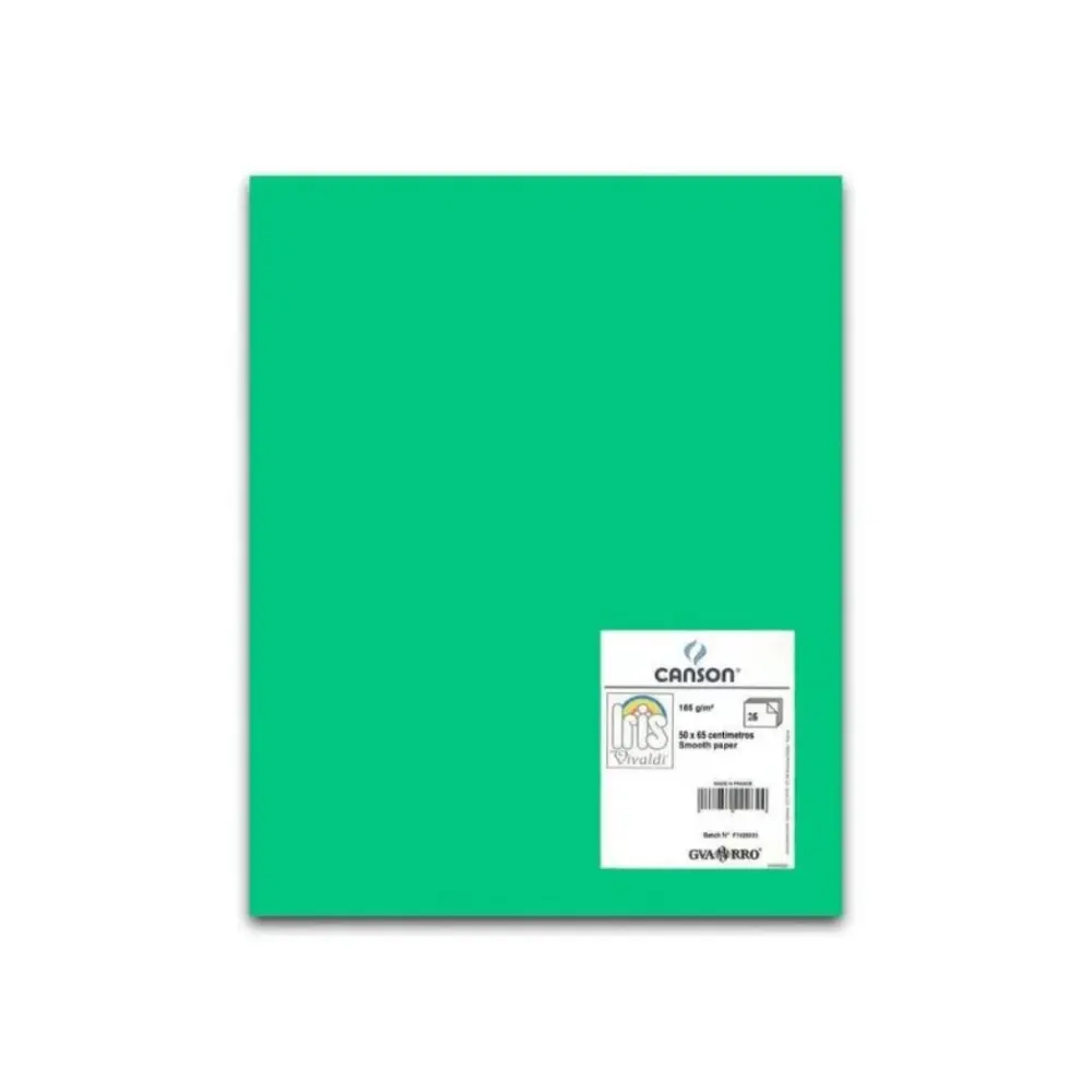 I. VIVALDI 50X65 185G VERDE MANZANA  27 304086