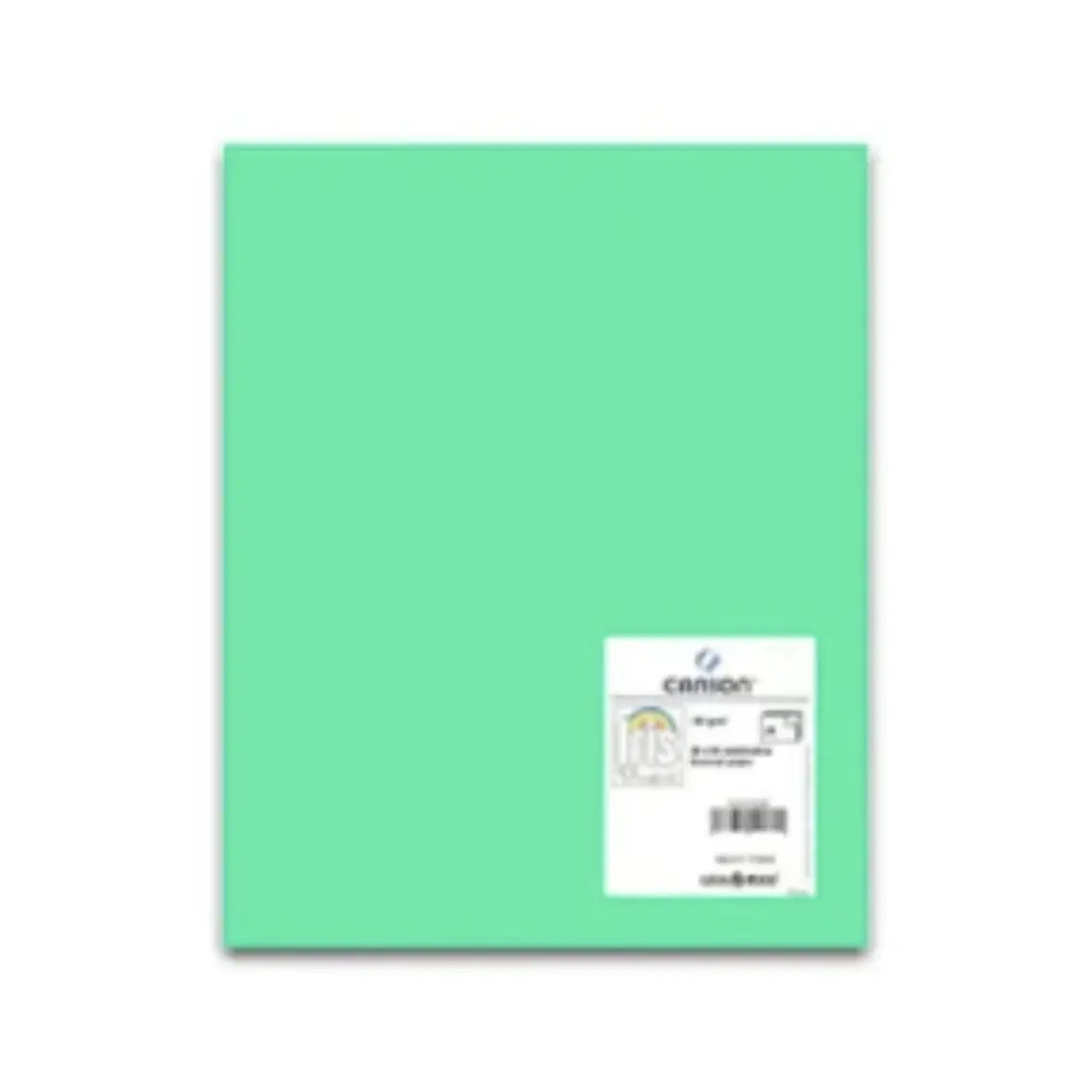 I. VIVALDI 50X65 185G VERDE MENTA  87 304098