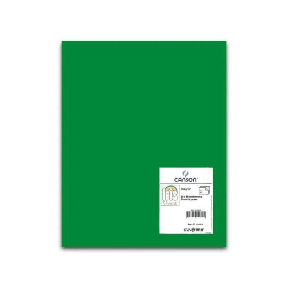 I. VIVALDI 50X65 185G VERDE AMAZONAS  31 61654
