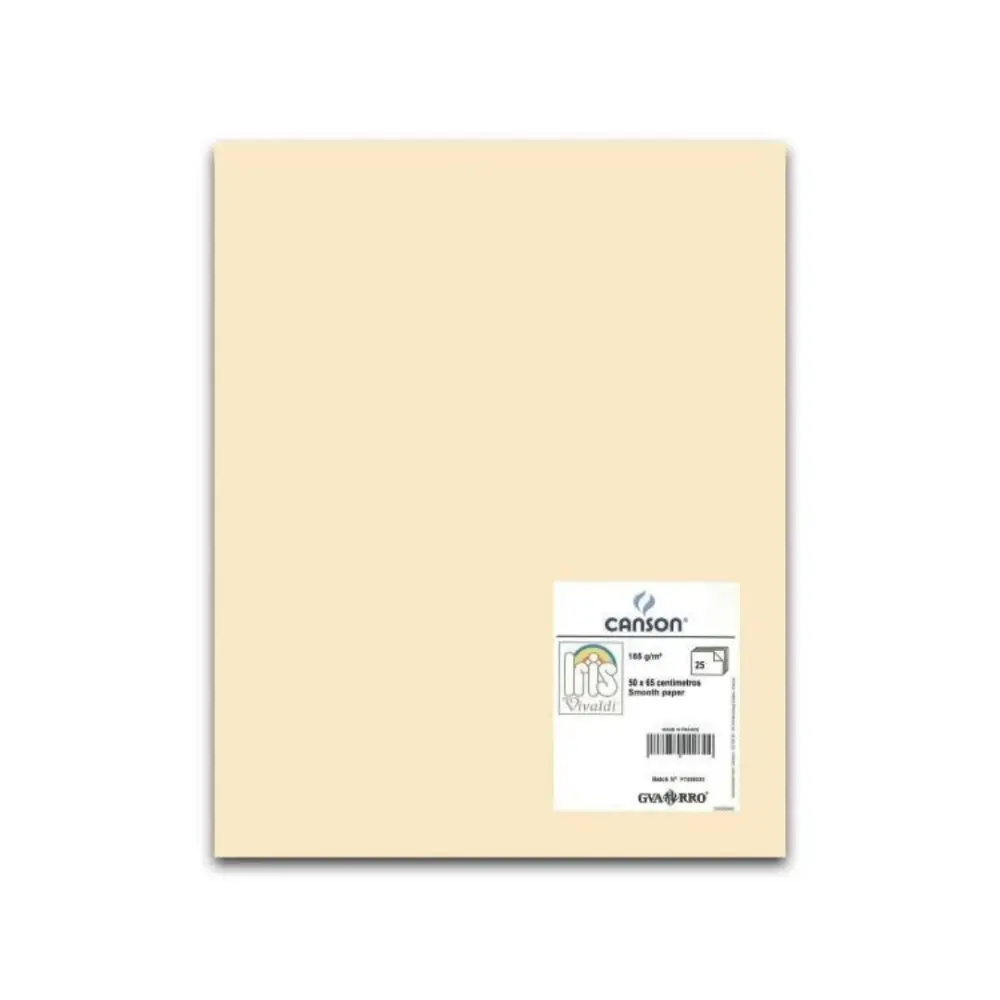 I. VIVALDI 50X65 185G CARNE  83 63083